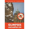 Glimpses of an Uncharted Life: The Empire Collapsed, but the Evil Remained - Paperback
