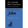 The Gospel According to John - Paperback