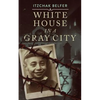 White House in a Gray City - Paperback