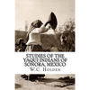 Studies of the Yaqui Indians of Sonora, Mexico - Paperback