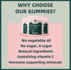 Vital Source Nutrition - Premium Feminine Balance Gummies - for Women’s Health & Wellness - Immune Support - Vegan, Gluten-Free & Halal - Hawaiian Pineapple - 60 Gummies - 30 Servings