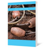 Who Is This Jesus?: The Gospel of John (Chapters 1-15) - Paperback