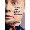 The Trial of Lizzie Andrew Borden Book Three - Paperback