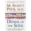 Denial of the Soul: Spiritual and Medical Perspectives on Euthanasia and Mortality - Paperback