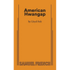 American Hwangap - Paperback