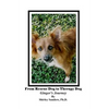 From Rescue Dog To Therapy Dog - Paperback