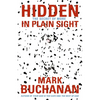 The Hidden in Plain Sight: The Secret of More - Paperback