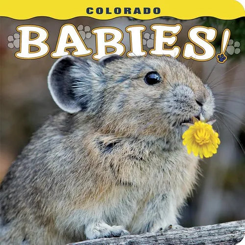 Colorado Babies! - Board Book