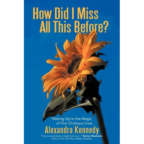 How Did I Miss All This Before?: Waking Up to the Magic of Our Ordinary Lives - Paperback