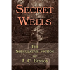 Secret Wells: The Speculative Fiction of A. C. Benson - Paperback