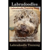 Labradoodles, Labradoodle Training Book for Both Labradoodle Dogs & Labradoodle Puppies By D!G THIS Dog Training: Dog Training Begins From the Car Rid - Paperback