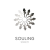 Souling - Paperback