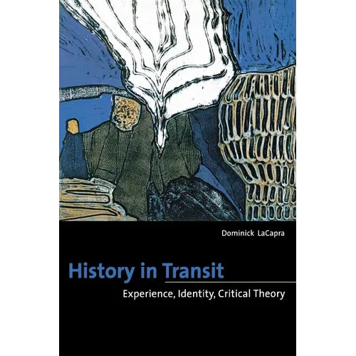 History in Transit: Experience, Identity, Critical Theory - Paperback