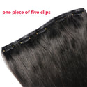 14-30Inch 60-100g Straight Clip in Human Hair Extensions One Piece With 5Clips Brazilian Remy Human Hair Natural Color Extension