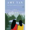 The Hundred Secret Senses - Paperback