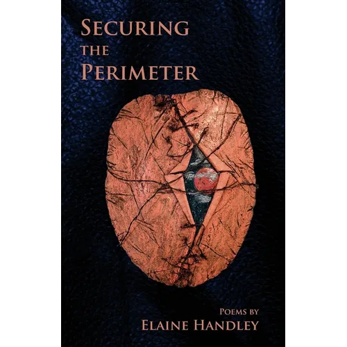 Securing the Perimeter - Paperback