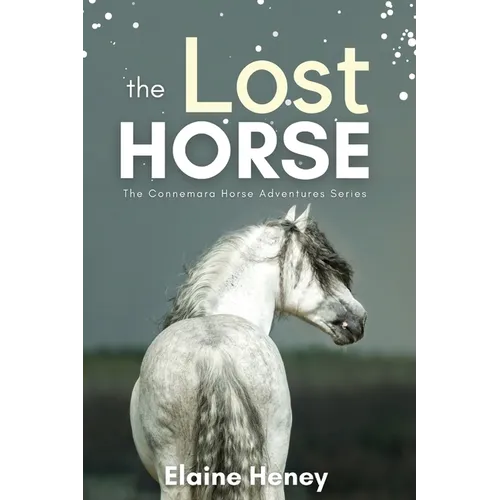 The Lost Horse - Book 6 in the Connemara Horse Adventure Series for Kids - Paperback
