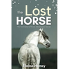 The Lost Horse - Book 6 in the Connemara Horse Adventure Series for Kids - Paperback