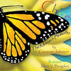 Chloe The Monarch Butterfly - Paperback