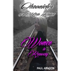 Chronicles of a Meth Addict: Women in Recovery - Paperback
