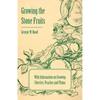 Growing the Stone Fruits - With Information on Growing Cherries, Peaches and Plums - Paperback