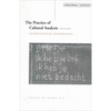 The Practice of Cultural Analysis: Exposing Interdisciplinary Interpretation - Paperback