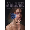 A Collection of Dreamscapes - Paperback
