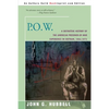 P.O.W.: A Definitive History of the American Prisoner-Of-War Experience in Vietnam, 1964-1973 - Paperback