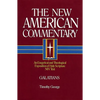 Galatians: An Exegetical and Theological Exposition of Holy Scripture Volume 30 - Hardcover