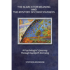 The Search For Meaning and The Mystery of Consciousness: A Psychologist's Journey Through Gurdjieff and Jung - Paperback