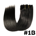 Straight Clip in Extensions