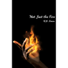 Not Just the Fire - Paperback