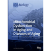 Mitochondrial Dysfunction in Aging and Diseases of Aging - Paperback