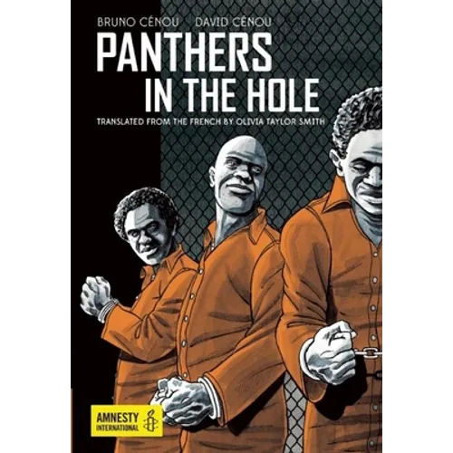Panthers in the Hole - Paperback
