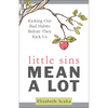 Little Sins Mean a Lot: Kicking Our Bad Habits Before They Kick Us - Paperback