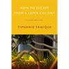 How to Escape from a Leper Colony: A Novella and Stories - Paperback