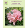 Vireya Rhododendron A Picture Guide: How I Grow Vireya In My Hawaii Garden - Paperback