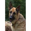 What I Learned About Leadership From My Dog - Paperback
