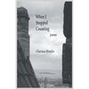 When I Stopped Counting - Paperback