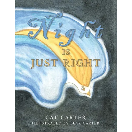 Night Is Just Right - Paperback