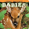 Smoky Mountain Babies! - Board Book