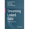 Streaming Linked Data: From Vision to Practice - Paperback