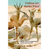 Follow on Hinds' Feet: Study Guide to Hinds' Feet on High Places - Paperback