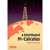 A Distributed Pi-Calculus - Hardcover
