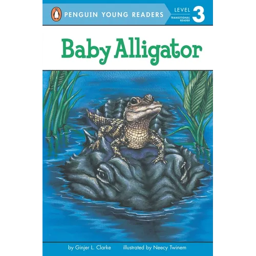 Baby Alligator - Paperback