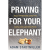 Praying for Your Elephant: Boldly Approaching Jesus with Radical and Audacious Prayer - Paperback