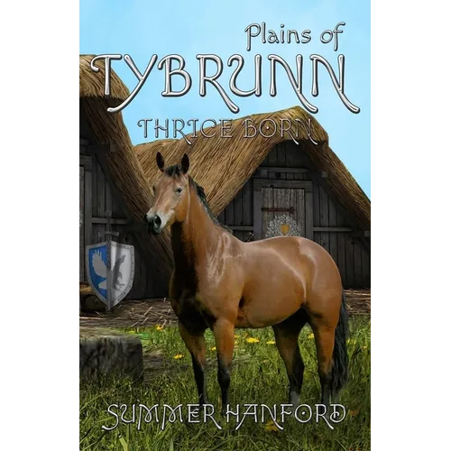 Plains of Tybrunn - Paperback