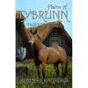 Plains of Tybrunn - Paperback