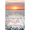 A Place Called Winston: A Novel of Historical Fiction - Paperback
