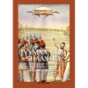 Vymaanika Shaastra: or Science of Aeronautics - Paperback